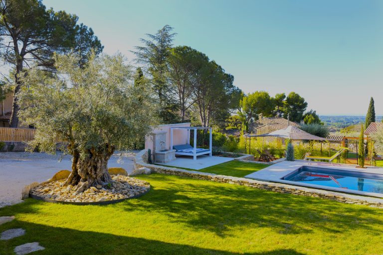 Für Unternehmen: Ein hundertjähriger Olivenbaum thront über dem Garten mit Pool und Entspannungsbereich einer luxuriösen Villa in der Provence – ideal für Unternehmen.